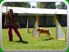 Kesi zkousi agility