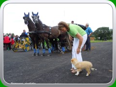 Zlata_podkova_25.8.2012_008